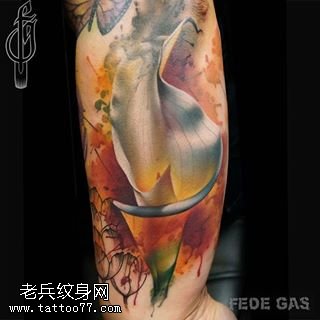 小腿水彩鸟儿纹身图案