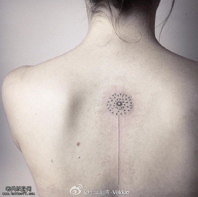 脊梁上清新的蒲公英纹身图案
