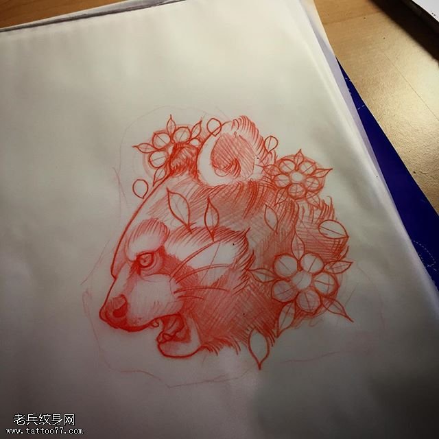 手稿素描浣熊纹身图案