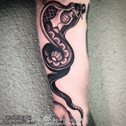 小腿眼镜蛇纹身图案