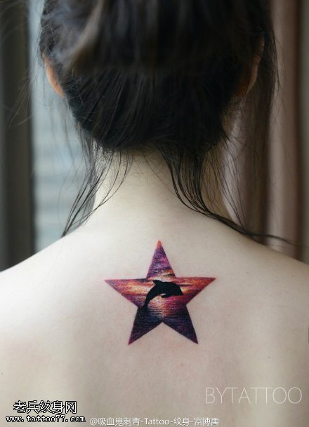 背部的海豚五角星纹身图案