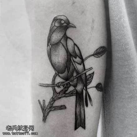 胳膊上的鸟儿纹身图案
