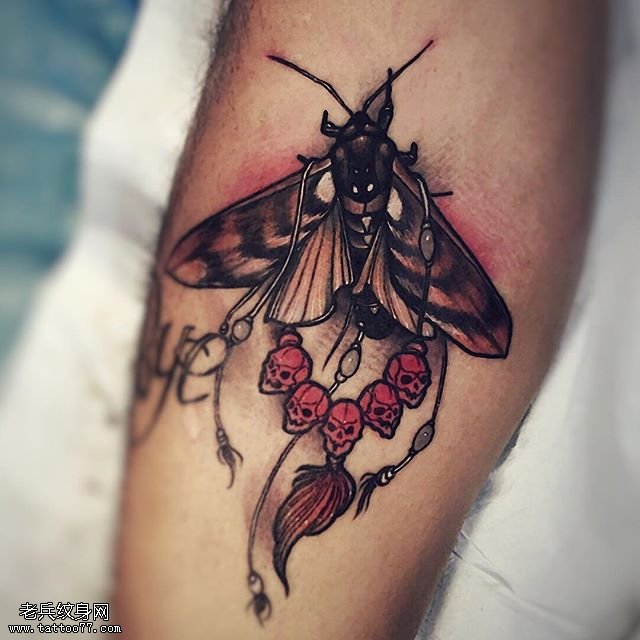 小腿的飞蛾骷髅纹身图案