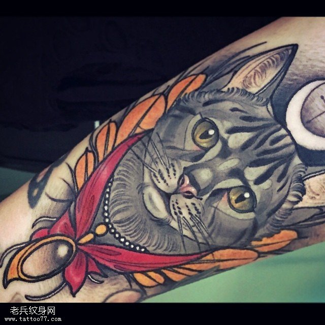 小腿欧美风猫咪纹身图案
