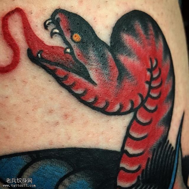 腿部的红舌蛇纹身图案