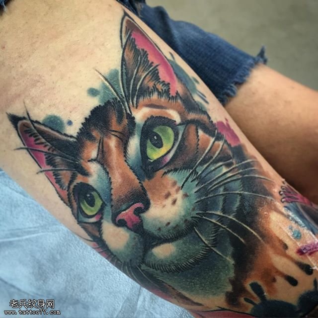 腿部水彩的猫纹身图案