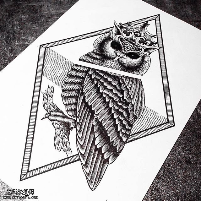 手稿经典素描猫头鹰纹身图案