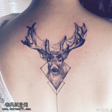 背部的灵鹿纹身图案