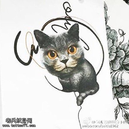 手稿逼真猫咪纹身图案