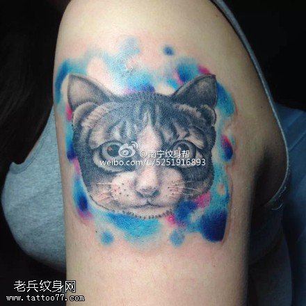肩部水彩的猫咪纹身图案