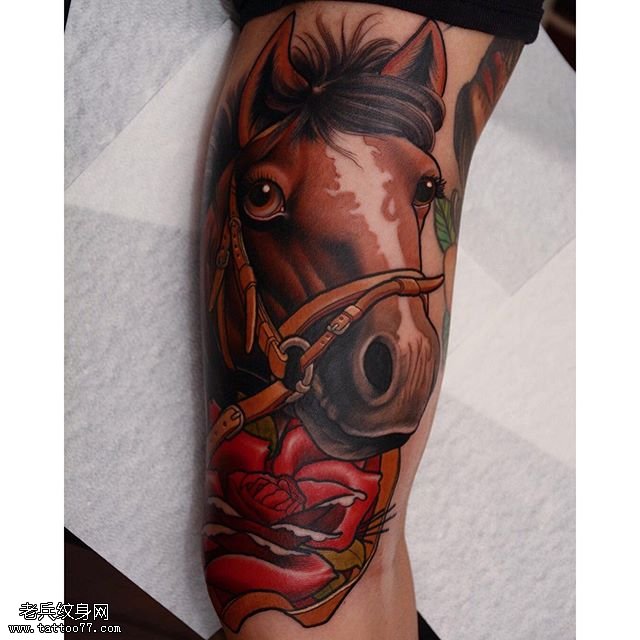 腿部的红马纹身图案