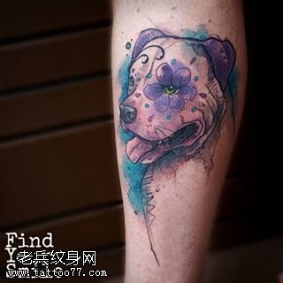 小腿上狗狗的照片纹身图案