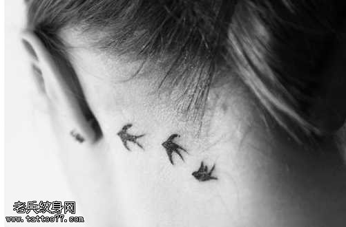 耳朵后面三只小鸟纹身图案
