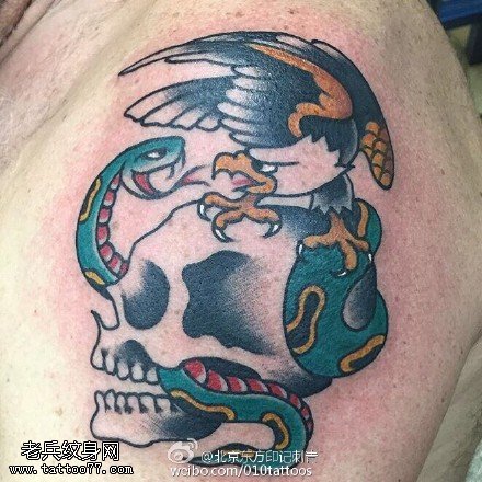 肩部蛇乌鸦骷髅纹身图案