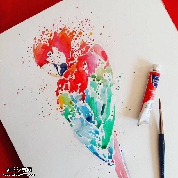 手稿水彩鸟儿纹身图案