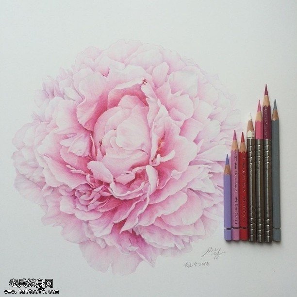 手稿清新的牡丹纹身图案