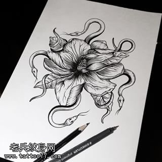 手稿蛇花纹身图案