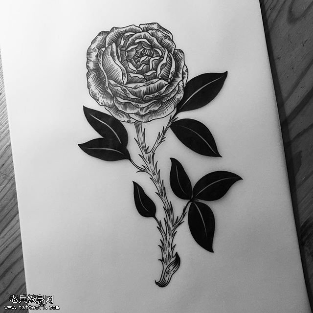 素描荆棘玫瑰纹身图案