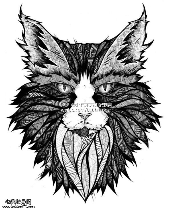 手稿凶狠的猫咪纹身图案