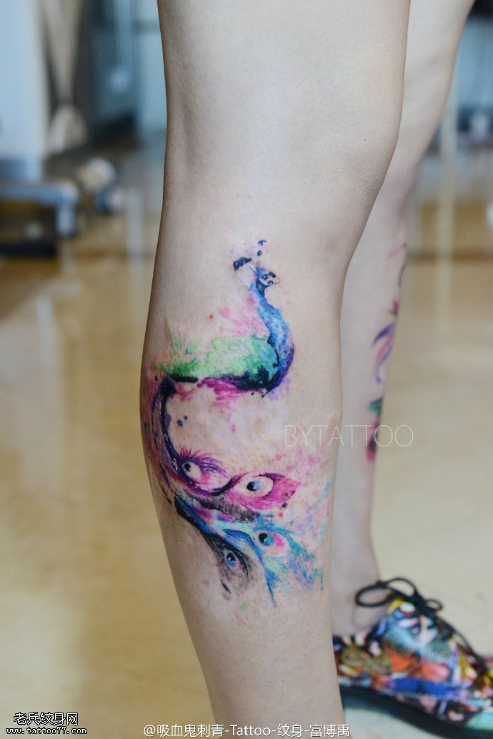 小腿部水彩的凤凰纹身图案