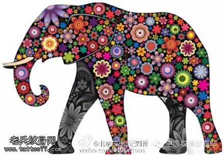 手稿梵花大象纹身图案
