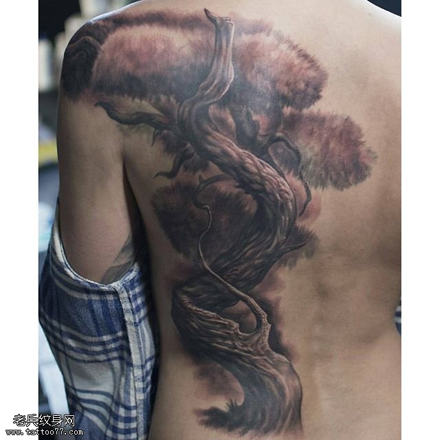 背部一颗老松树纹身图案