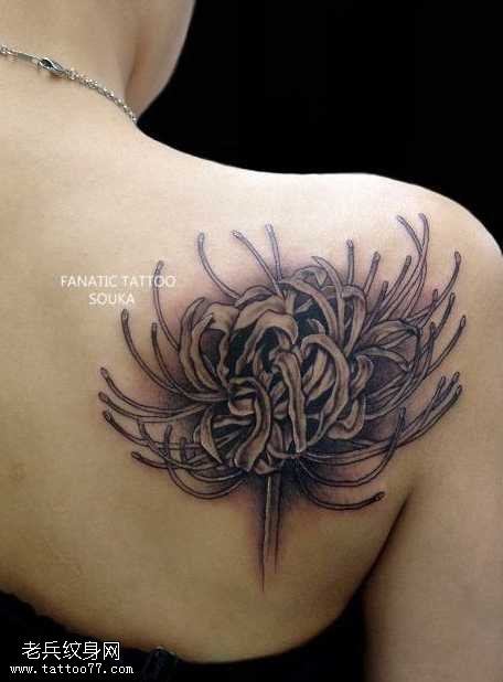 后背黑灰菊花纹身图案