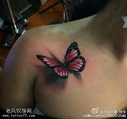 3D逼真的蝴蝶纹身图案