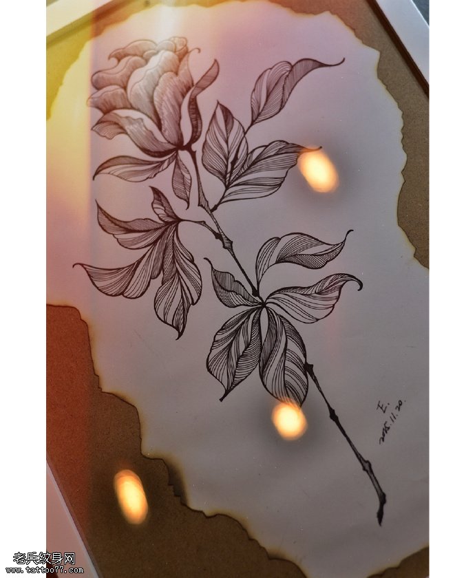 手臂一枝花卉纹身图案