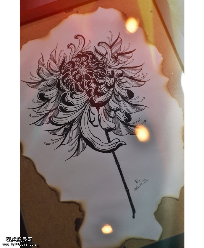 手稿黑菊花纹身图案