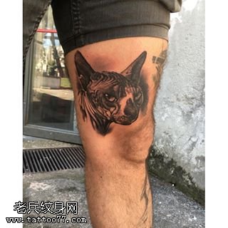 腿部的一只小猫咪纹身图案