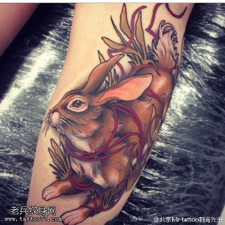彩绘的兔子纹身图案
