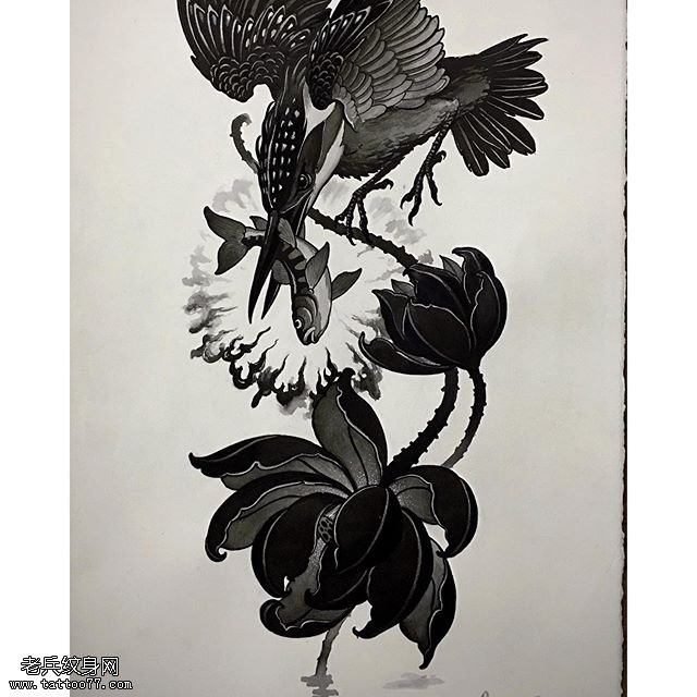 手稿翠鸟捉鱼纹身图案