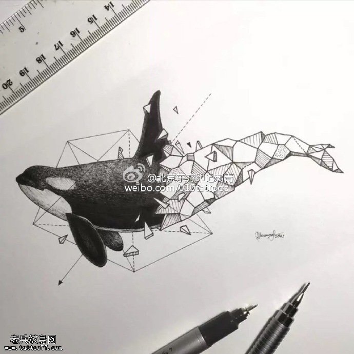 手稿写实几何图腾鲨鱼纹身图案