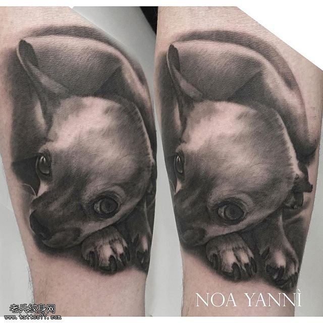 小腿呆萌的狗狗纹身图案