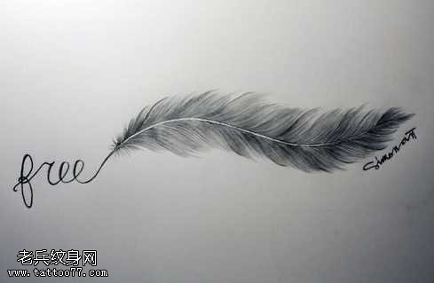 手稿唯美漂亮的羽毛英文纹身图案