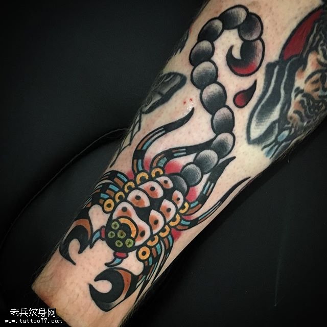 小腿的大蝎子纹身图案