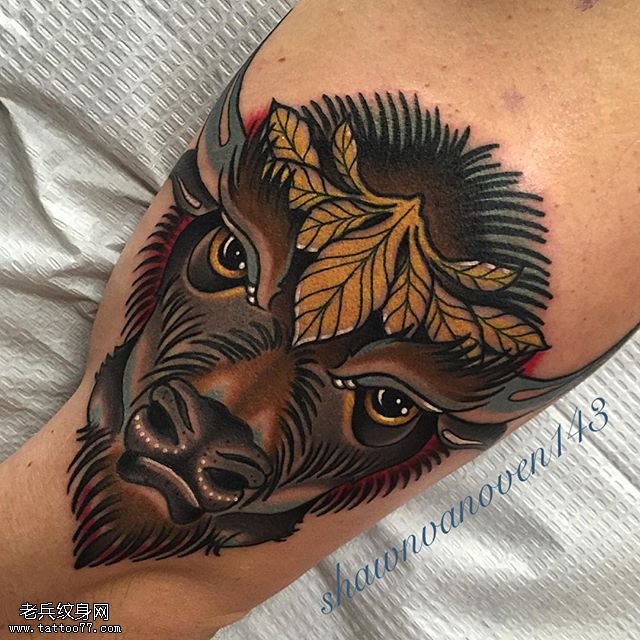 膝盖上的一头牛纹身图案