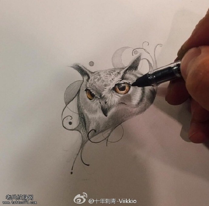 手稿写实猫头鹰纹身图案