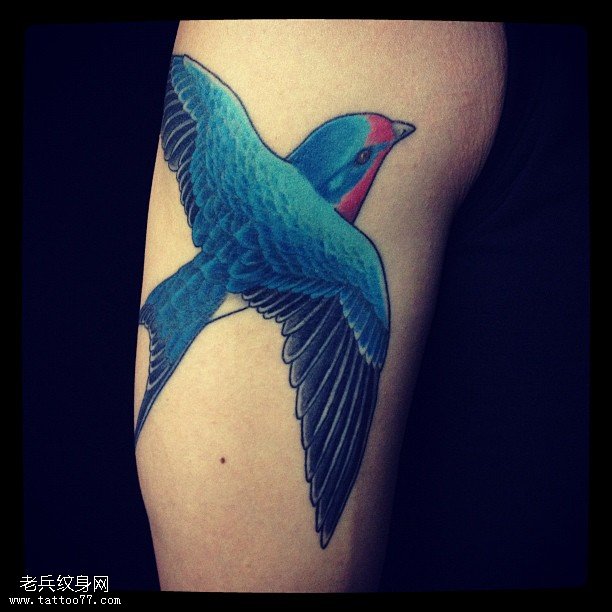 肩部逼真的鸟儿纹身图案