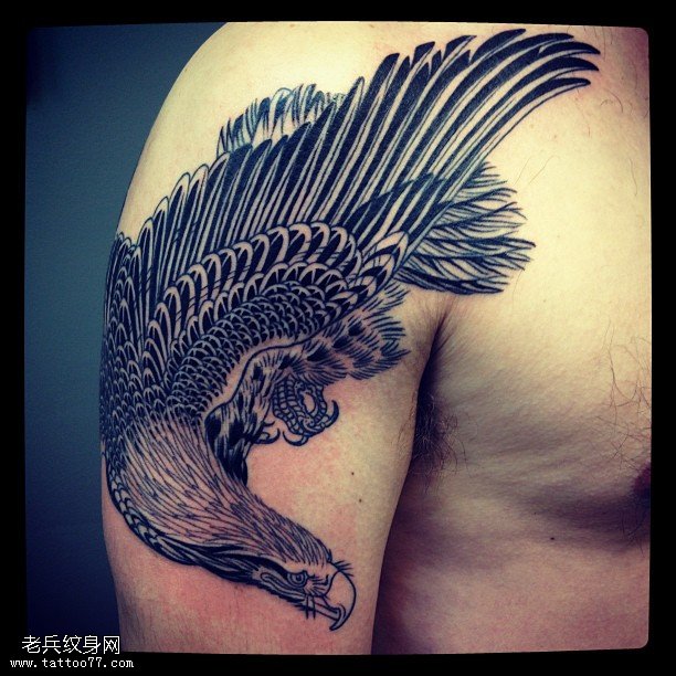 肩部点刺老鹰纹身图案