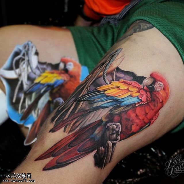 大腿上的彩色鹦鹉纹身图案