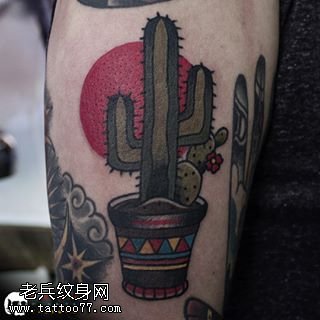 小腿上一盆仙人掌纹身图案