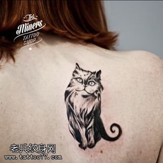 肩部黑灰小猫咪纹身图案