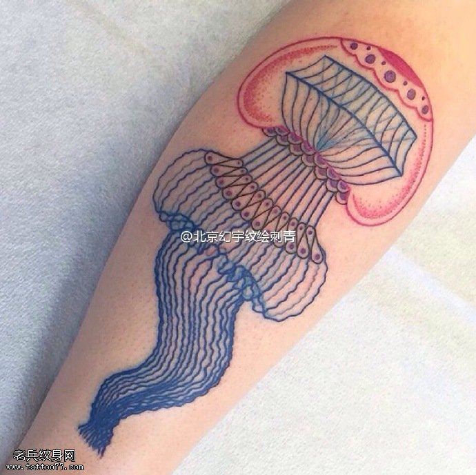 小腿线条点刺水母纹身图案