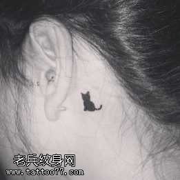 耳部小猫咪纹身图案