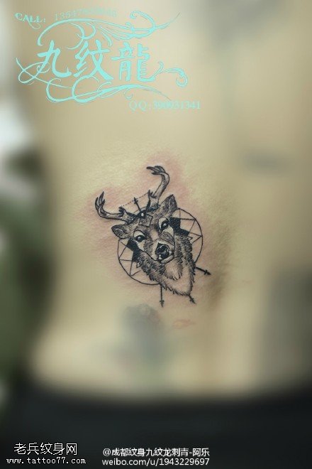 腹部的小鹿纹身图案