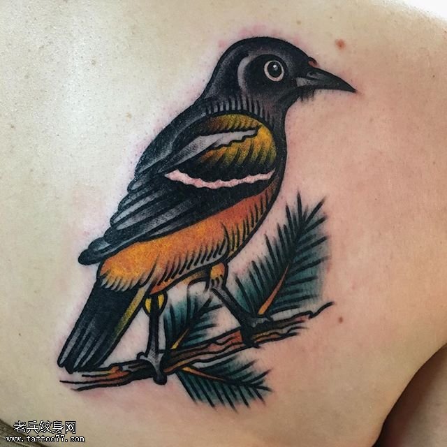 肩膀的鸟儿纹身图案