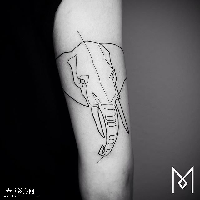 手臂清新线条大象纹身图案