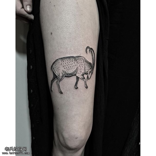 大腿一头绵羊纹身图案